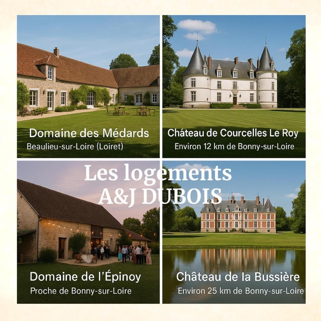 A&Jduplex - Bonny Sur Loire - Chateaux De Guedelon - Pont Canal Bonny-sur-Loire Exterior foto